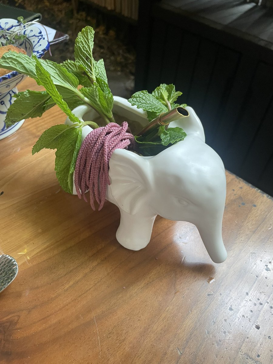 HoosierSoprano's tweet photo. Hey man, you put a drink in an elephant vase and you’ll get my attention https://t.co/t3yY7XM7yh