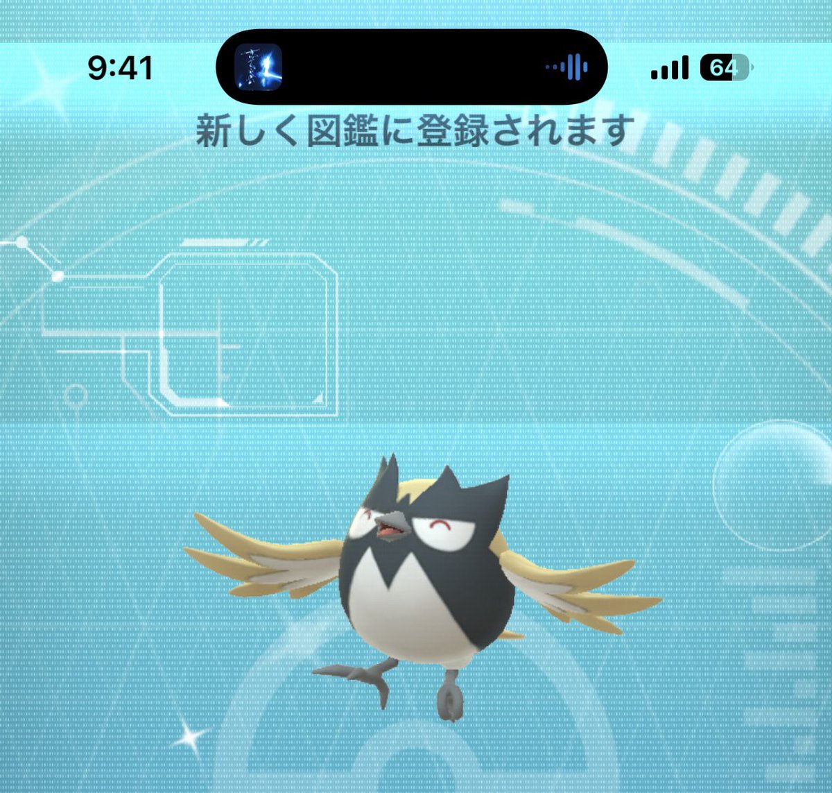 ⭐️ h2okan★出品お休み中です WOW🕊️🕊️🕊️