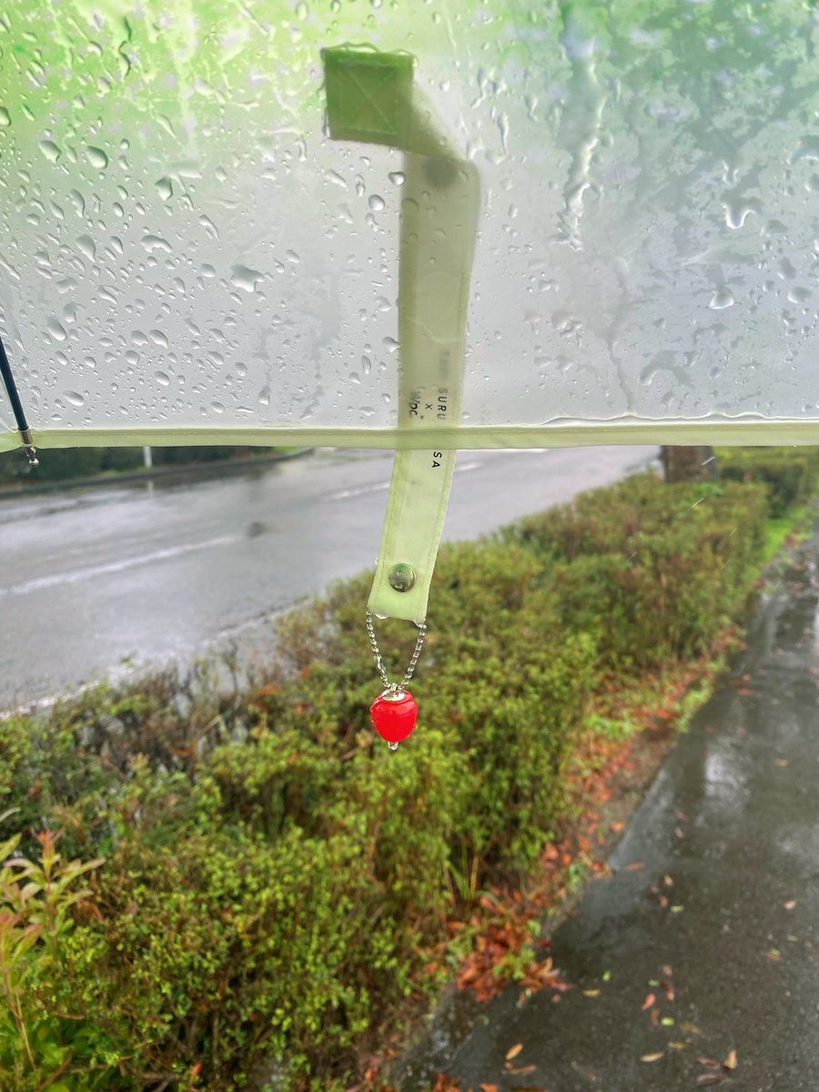 mico418's tweet photo. でもこの傘お気に入りだから雨も嫌いじゃない🍒 https://t.co/YPrUc9ZS3W