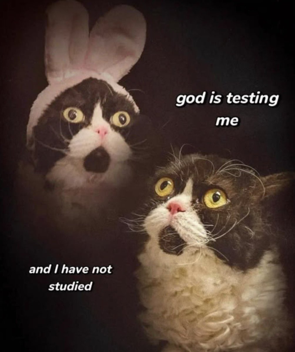 cattribunal's tweet photo. https://t.co/pPuTtBoGH0