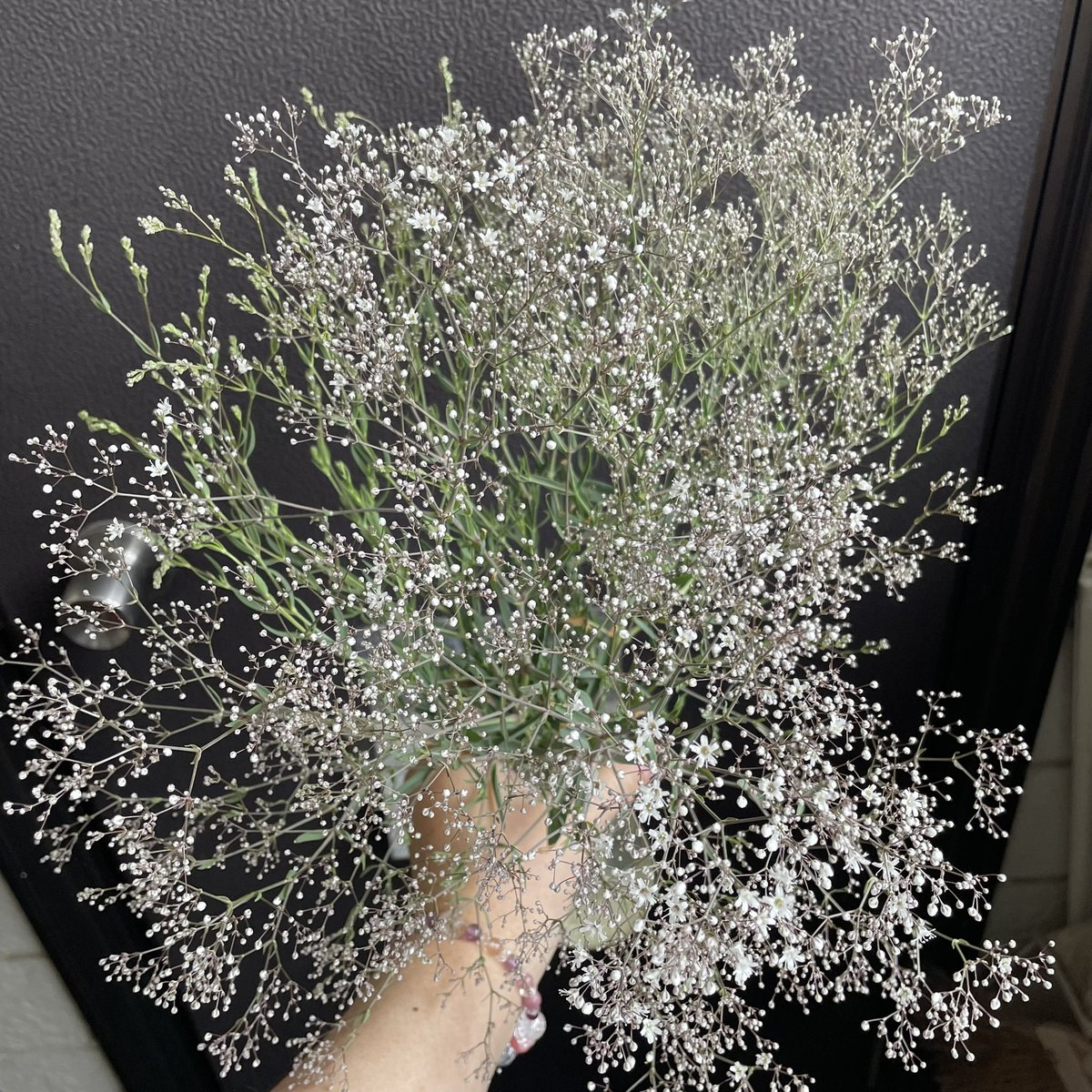 moriyukidayooo's tweet photo. 間引きついでにかすみ草を摘んできたんだが、瓶に入れてテーブルの上に置いて、台所でちょっと洗い物してたら……
ひっくり返されてた🥲
水少なめで良かった😭

ので、外に飾っておく事にした💧

この鉢の真ん中に瓶を立てといた😗 https://t.co/34Z6O9wRk1