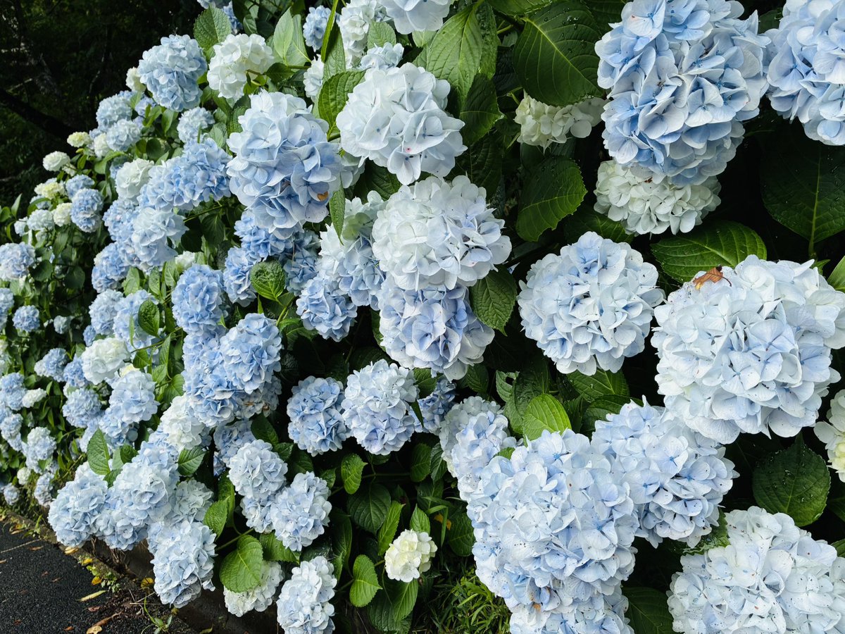 manryou07's tweet photo. ああ〜マイナスイオンうめえな https://t.co/o4liobXw1c