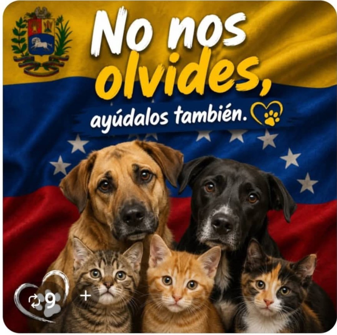 DIANCAPEREZ's tweet photo. #RescateAnimalDagnificados
#AyudaAnimalesDagnificados
#ProtecionAnimalesDagnificados https://t.co/s3tVceWnn8