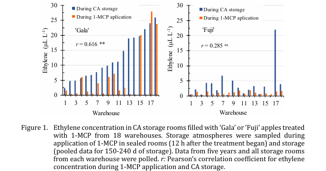 Nacherntephysi1's tweet photo. 🍎📚 New paper in Acta Horticulturae!
Ethylene levels in commercial CA apple storage varied strongly among cultivars, warehouses, storage rooms, and harvest years, highlighting the complexity of storage management.
#AppleStorage #Ethylene #Postharvest #1MCP https://t.co/y1fmI5z94A