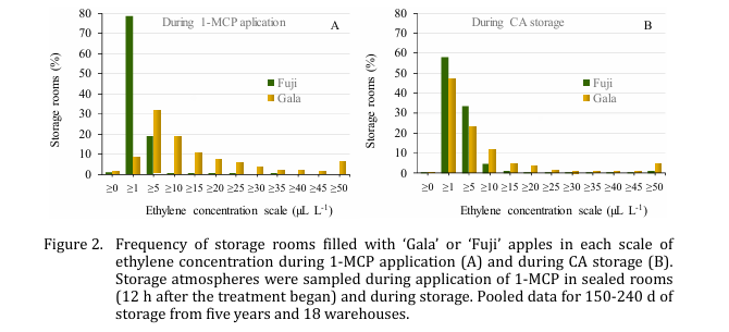 Nacherntephysi1's tweet photo. 🍎📚 New paper in Acta Horticulturae!
Ethylene levels in commercial CA apple storage varied strongly among cultivars, warehouses, storage rooms, and harvest years, highlighting the complexity of storage management.
#AppleStorage #Ethylene #Postharvest #1MCP https://t.co/y1fmI5z94A