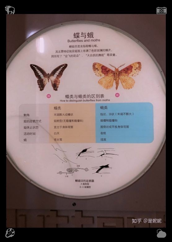 feeeee38's tweet photo. 通过享受深夜小吃来捕捉生活中的微小幸福。在平凡的日子里，这些美味的小食是最简单而强大的治愈力量。让希望成为每一天的组成部分。 https://t.co/94zb2s0SIt