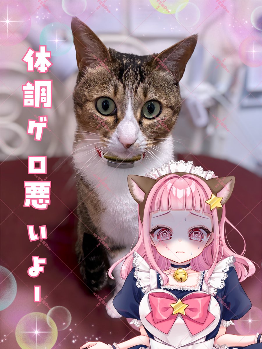 ゆいにゃぴ🐱 (@xxYINPxx) / Posts / X