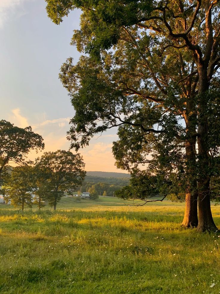 greenvibe's tweet photo. Some views are the best way to start the day. https://t.co/NIIXMzn5fI