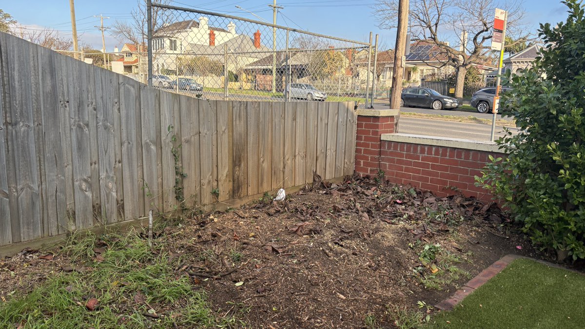 CLAN_AU's tweet photo. The side garden has been cleared of shrubs &amp; a tree that was infested with termites 
Much more light on that side of the Museum 😊
Watch the space on front brick fence area,as a new exciting development will be coming shortly 
Thanks Committee member Anne organising 👏
#aomuseum https://t.co/zM6oBwexDG