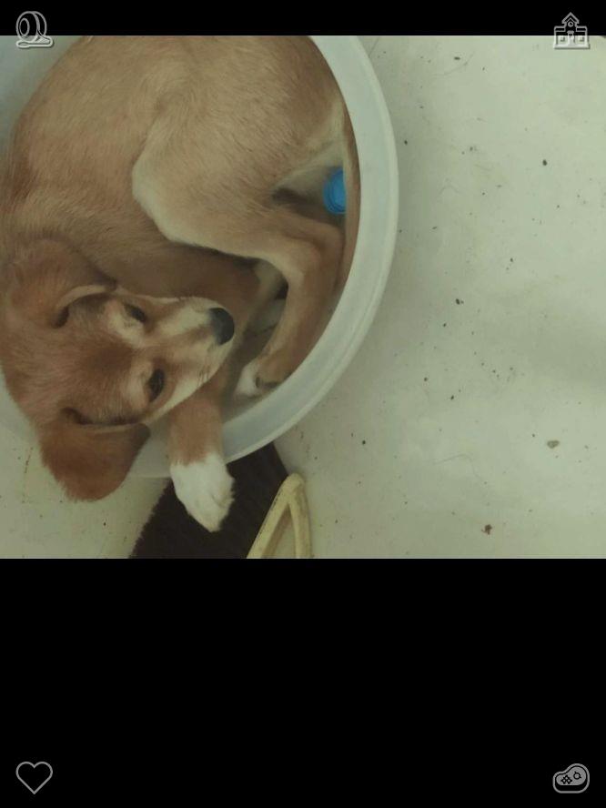 adiadem's tweet photo. 手机上跳出了一张自拍，色调温暖��未经修饰。我没有进行任何编辑，也没用滤镜遮盖眼下的黑眼圈或略显干燥的双唇。这就是此时此刻、真实且凌乱的我，于是我把它保存了下来。😢母亲肖像画：画中的母亲被描绘成... https://t.co/s1BjjKB6H9
