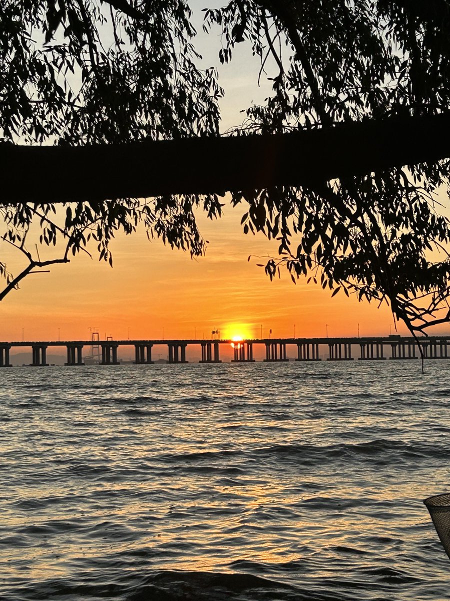 eltonSwarts8's tweet photo. New to photography Master the rule of thirds first—it’s the easiest way to level up your shots instantly!， https://t.co/1BKaNdsVVO