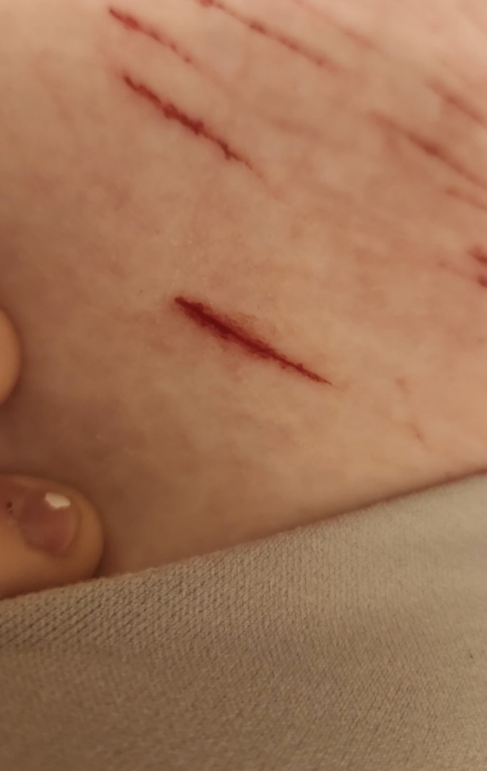 bitstrwbrryy's tweet photo. WAIT ok this is my second time cutting with a blade, DID I HIT MY FIRST BABY STYRO? I was just in the middle of cleaning and thought hmm lemme cut https://t.co/ZAxYBYVhKs