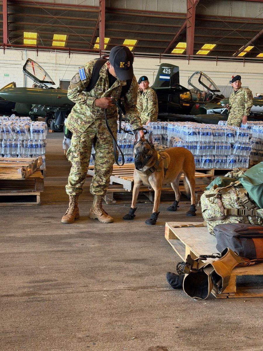 SivarAlDia's tweet photo. #Ahora || LOS HÉROES DE CUATRO PATAS QUE BUSCARÁN SOBREVIVIENTES EN VENEZUELA. 🐾🆘

Los perros de búsqueda y rescate que integran el contingente salvadoreño ya están listos para partir hacia Venezuela.

Gracias a su entrenamiento y a su potente capacidad olfativa, estos caninos pueden ubicar personas atrapadas entre estructuras colapsadas, incluso cuando no son visibles para los equipos de rescate.

Su labor será fundamental para apoyar las operaciones de emergencia y aumentar las posibilidades de salvar vidas tras los terremotos que afectaron al país sudamericano.