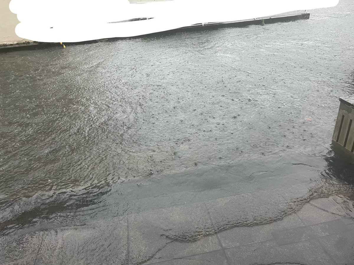sereindayo's tweet photo. 家の前冠水。
大通り沿い自分の膝上くらいまでの冠水 https://t.co/2DKjfFWrBC