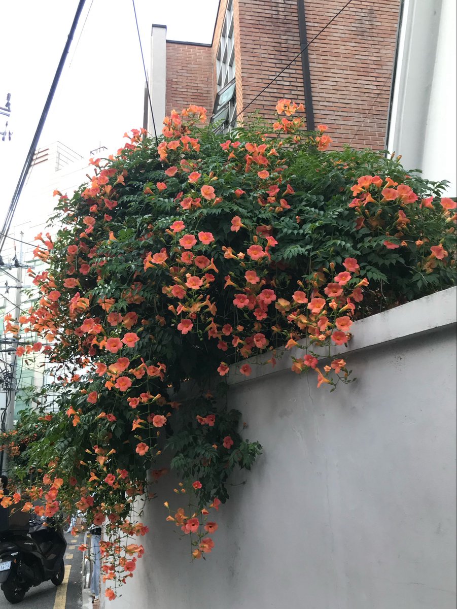 thd_222's tweet photo. 제이드랑~ https://t.co/7WpQqjQ9r5