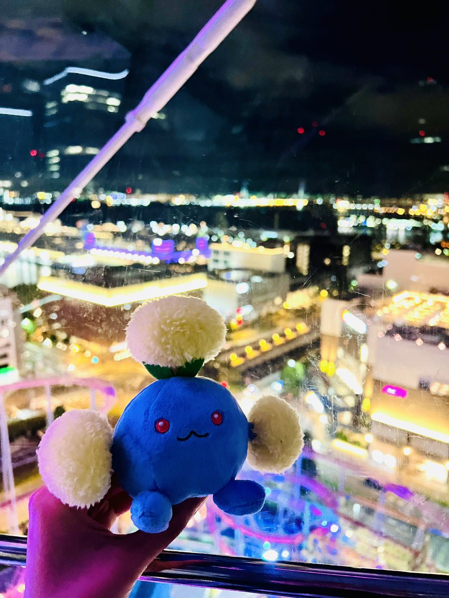 ryuma_ranran's tweet photo. 🍨🎡

#ワタッコ 
#ポケぬい  #ポケモンfit 
#ポケモンfitのある暮らし https://t.co/8qxzeD8DQl