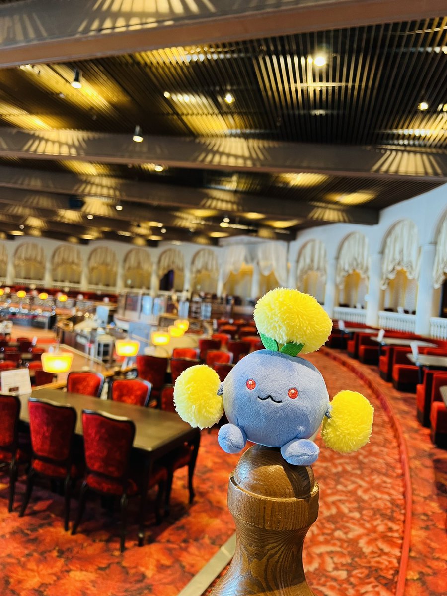 ryuma_ranran's tweet photo. 🍨🎡

#ワタッコ 
#ポケぬい  #ポケモンfit 
#ポケモンfitのある暮らし https://t.co/8qxzeD8DQl