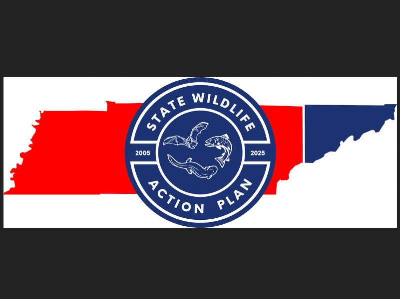CannonSource's tweet photo. USFWS Approves Tennessee Swap Plan https://t.co/hGoGdyPywn https://t.co/NC5CGrdOQi