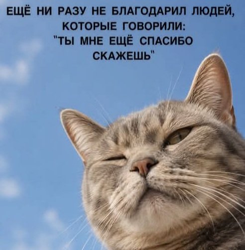 romanuhalov74's tweet photo. Начинаю подозревать, что "любви и денег побольше" мне желали неискренне. https://t.co/xezGNPlbZL