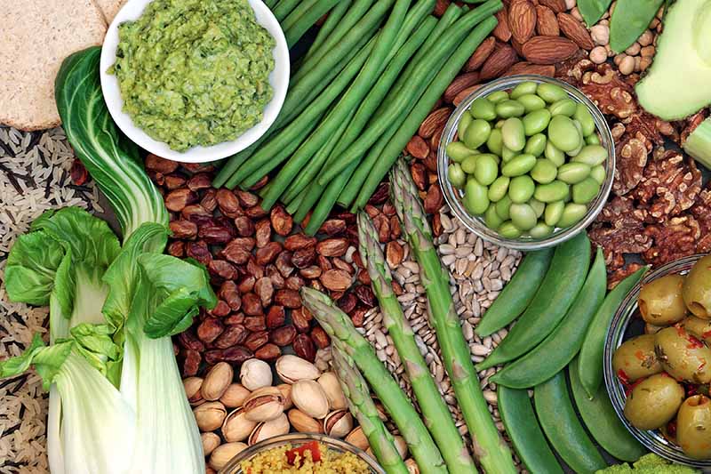 Gardeners_Path_'s tweet photo. Plant-Based Protein: The Best Protein-Packed Plants to Grow in the Garden - Plant-based protein sources are healthy and easy to grow in the garden. Read more about our top protein-packed picks now on Gardener's Path. https://t.co/J1qVR03TfP #plantbased #protein #growyourown https://t.co/pkIEQMxCA4