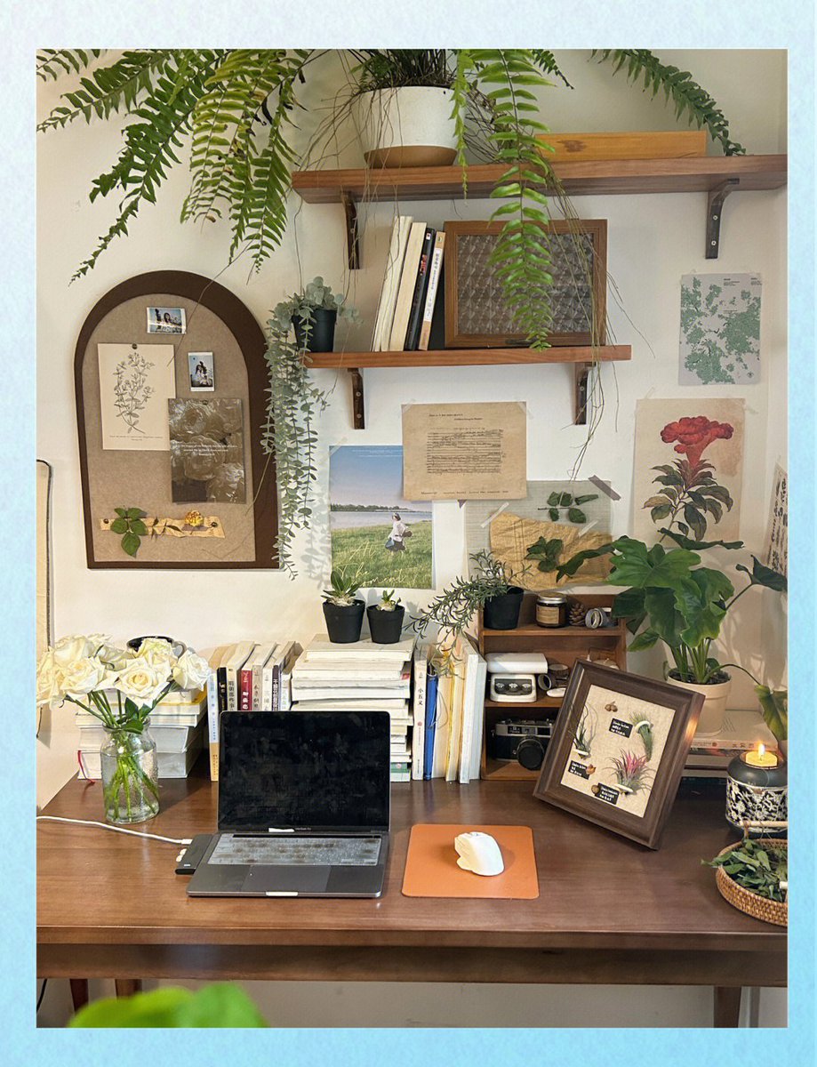 FelixGirlayne's tweet photo. Tidied my bookshelf u0026 found so many pre-loved gems—give old stuff a new home, less clutter, more joy! https://t.co/mlMYcuAzdO