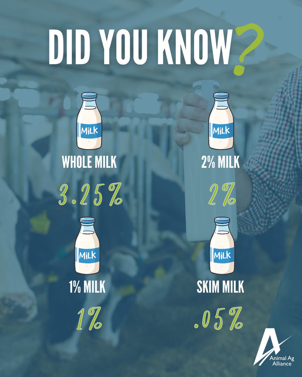 animalag's tweet photo. June is #NationalDairyMonth 🥛

Milk isn’t “one size fits all”; each option provides the same 13 essential nutrients, with different levels of fat and calories. From whole to skim, there’s a choice that can fit every lifestyle and nutrition goal. https://t.co/WO3OrsXv4v https://t.co/CrRaynieeg
