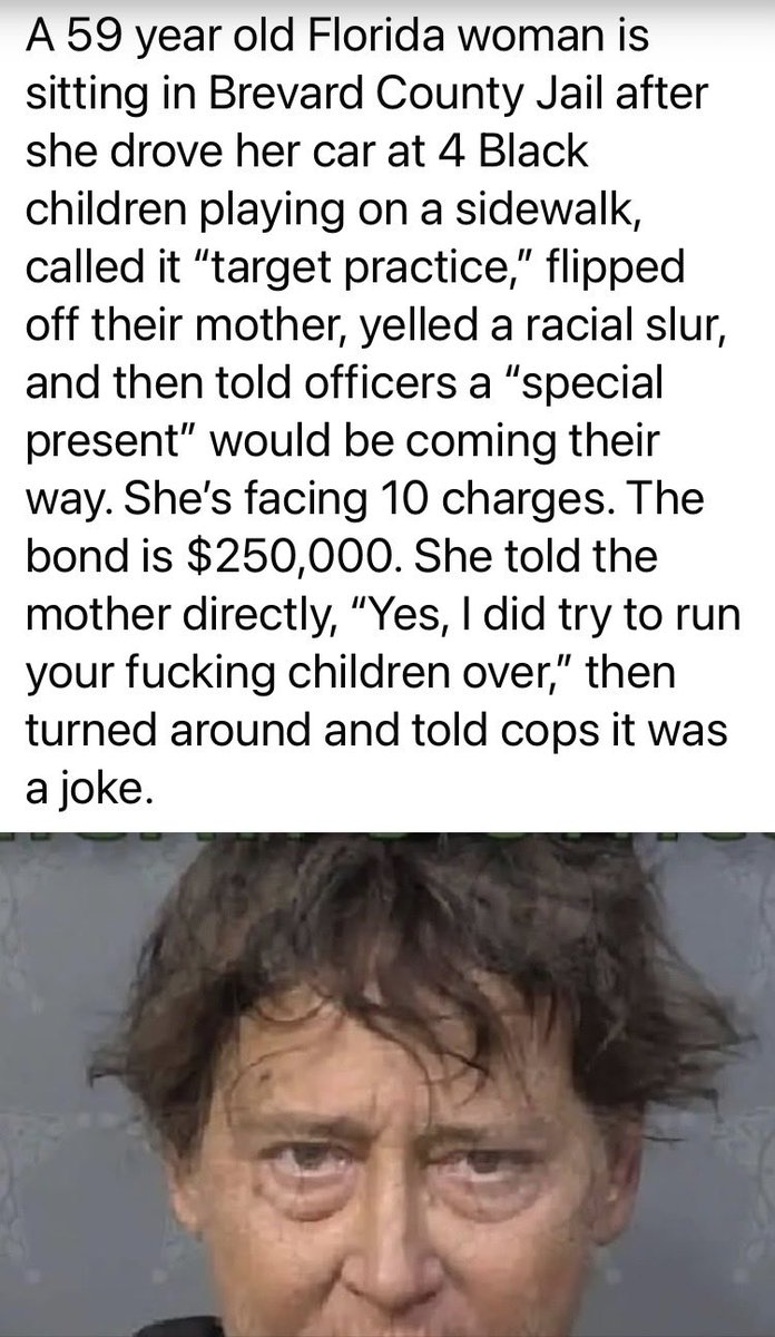 Suzierizzo1's tweet photo. This woman tried to run over four black children on a sidewalk &amp; called it target practice while calling them racial slurs  &amp; flipping them off.She then told cops a special present would be coming their way. She only has a $250,000 bond for 10 charges even after admitting to it. https://t.co/h6n9yYJLRc