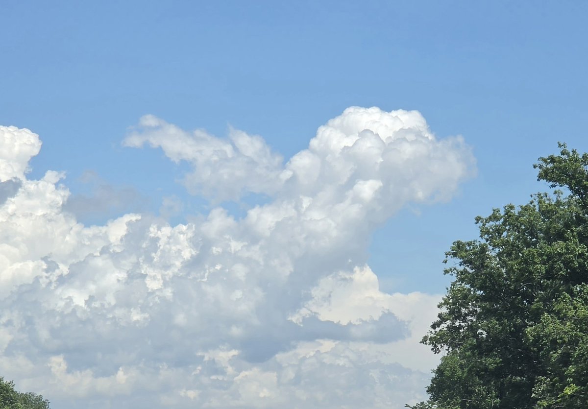 jonlinnemeier's tweet photo. I give you, Moby Dick breaching... Just a crop no edit otherwise, original also attached thank you @Tesla https://t.co/i0qXlFwqxk