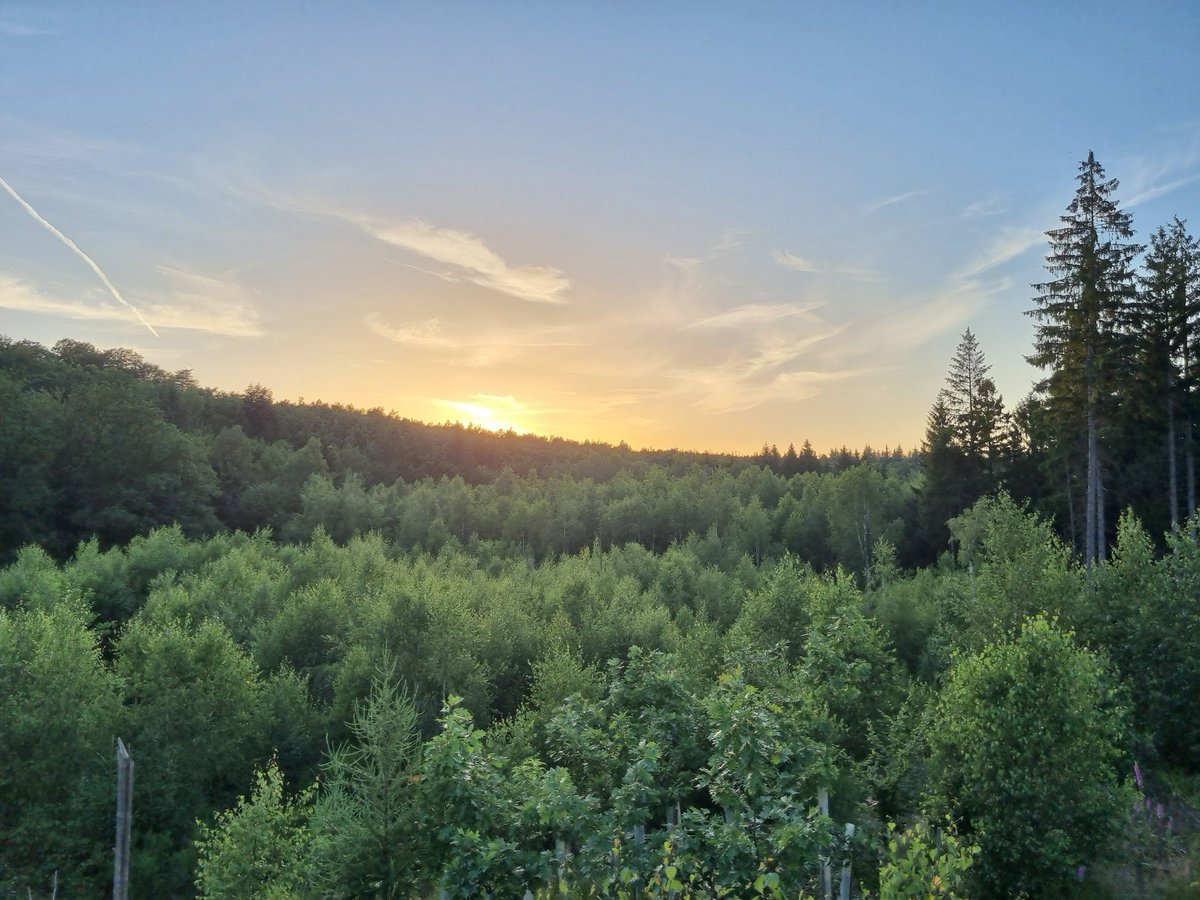 ilphen's tweet photo. @AKmountain_guy roughly a mile away from my place, a small hike to the forest. i dont need a gun
i dont think there is a point in fighting over who can enjoy nature the most. https://t.co/6NJUmR0Y92