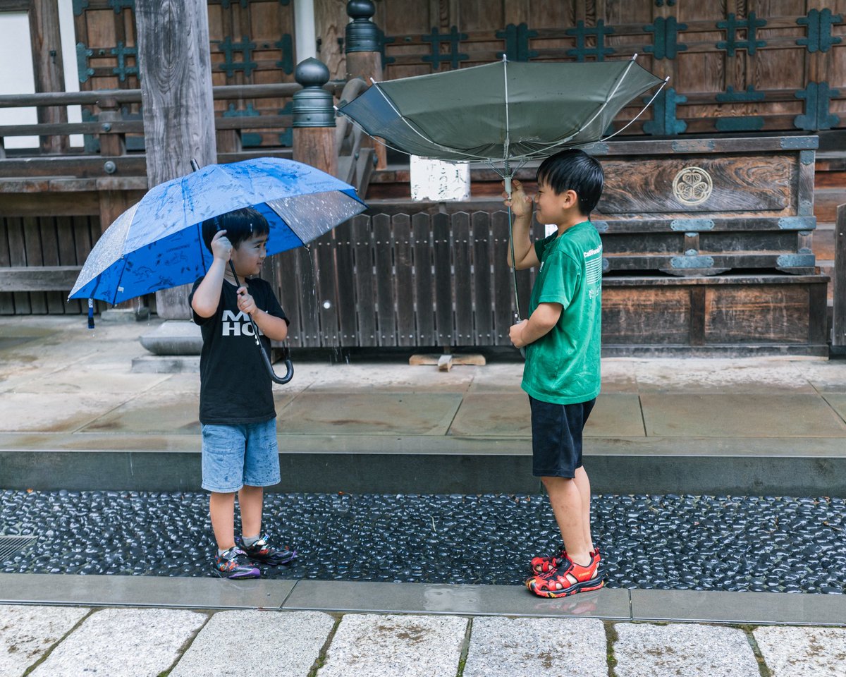 seepfly's tweet photo. 意外とダイナミックな長男と意外と保守的な次男。 https://t.co/humEHG0Beg