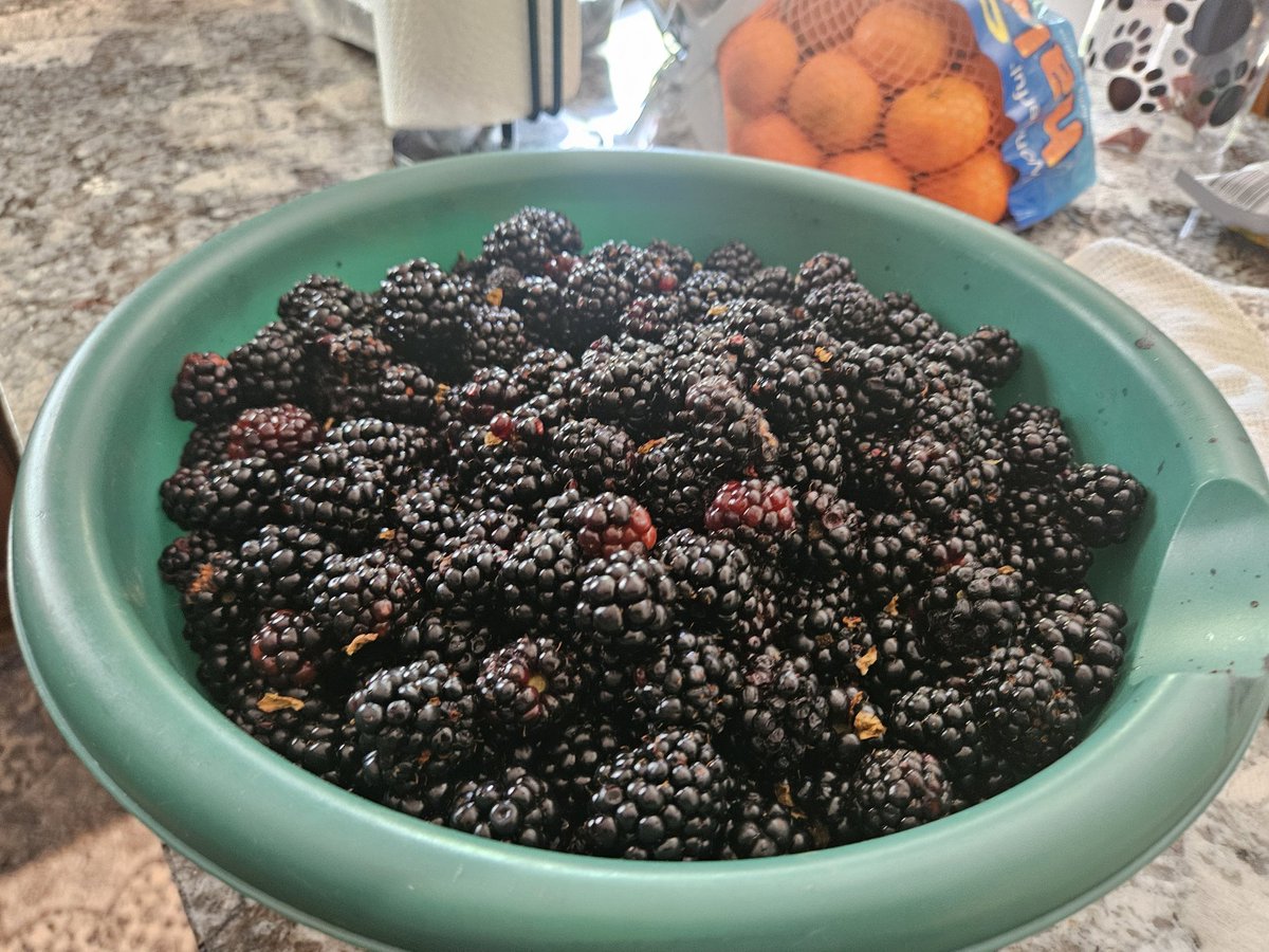 AndrewD144's tweet photo. First Crack at a homemade blackberry bbq sauce for ribs. Quite tasty I must say. https://t.co/2798mTVNMt