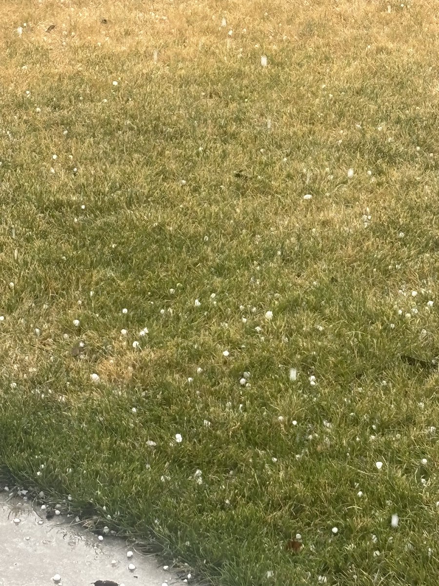 Alex33877911's tweet photo. @NWSSaltLakeCity Millcreek Utah about 2:55 https://t.co/R7gyb83Ttu