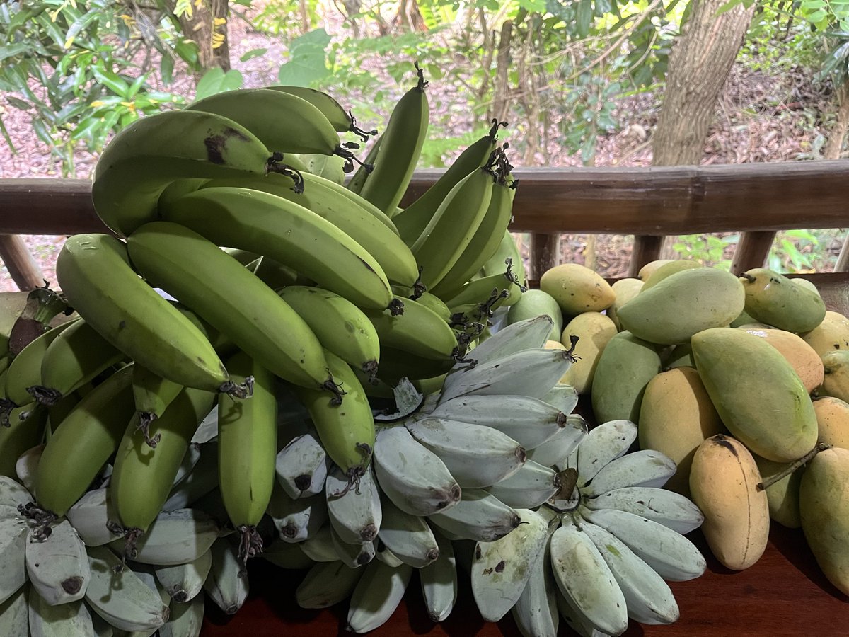 t2s200531's tweet photo. Nagharvest pang kain https://t.co/vwuaXsmmGa