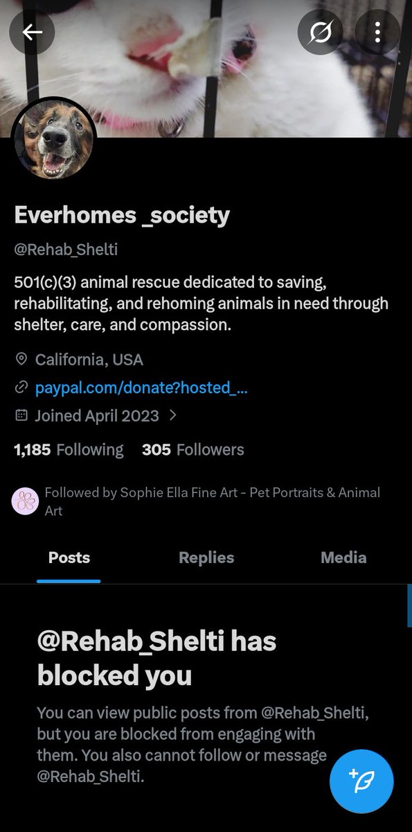 BelleBrummie's tweet photo. #DogsofX #AdoptDontShop #AnimalAdvocate 
Please be aware that @Rehab_Shelti is a FAKE rescue account stealing content from genuine rescues. 
This post about  Sheena was copied from Japanese X @akai_bass https://t.co/C5R2QfCpl0