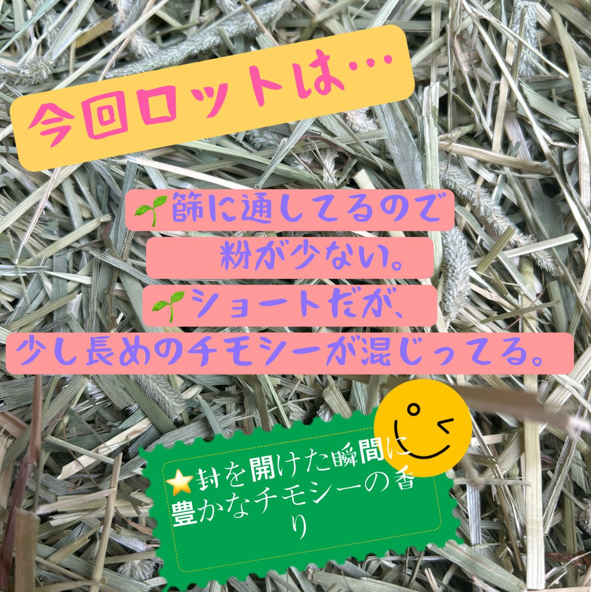 Animal_Foods's tweet photo. 💐松畜 Animal Foods入荷ロットの
お知らせです🌸

『松畜牧草 プレミアムチモシー
ショート』🌿
⭐️本日発送分から

今回のロットは
🌱 篩に通してるので粉が少ない。
🌱ショートだけど、
少し長めのチモシーが混じってる。
　　　　　　　　
⭕️US産1番刈り

🌱食べやすい牧草🌱
⭐️ ホイールカッターで短くカット❣️
今年もひと手間加えて
愛情たっぷり牧草をお届けします🤩

URL⇩ヤフーオークション

https://t.co/JalhbANTzu

#松畜牧草
#ペット用品販売
#小動物牧草
#うさぎ牧草
#プレミアムチモシー