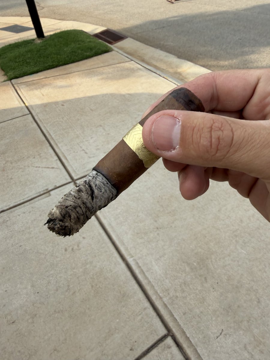 ufo_tarheel's tweet photo. Evening stroll smoke…@CDMCigars exclusive 💨
#cigars #puros https://t.co/SHrzLnNmBT