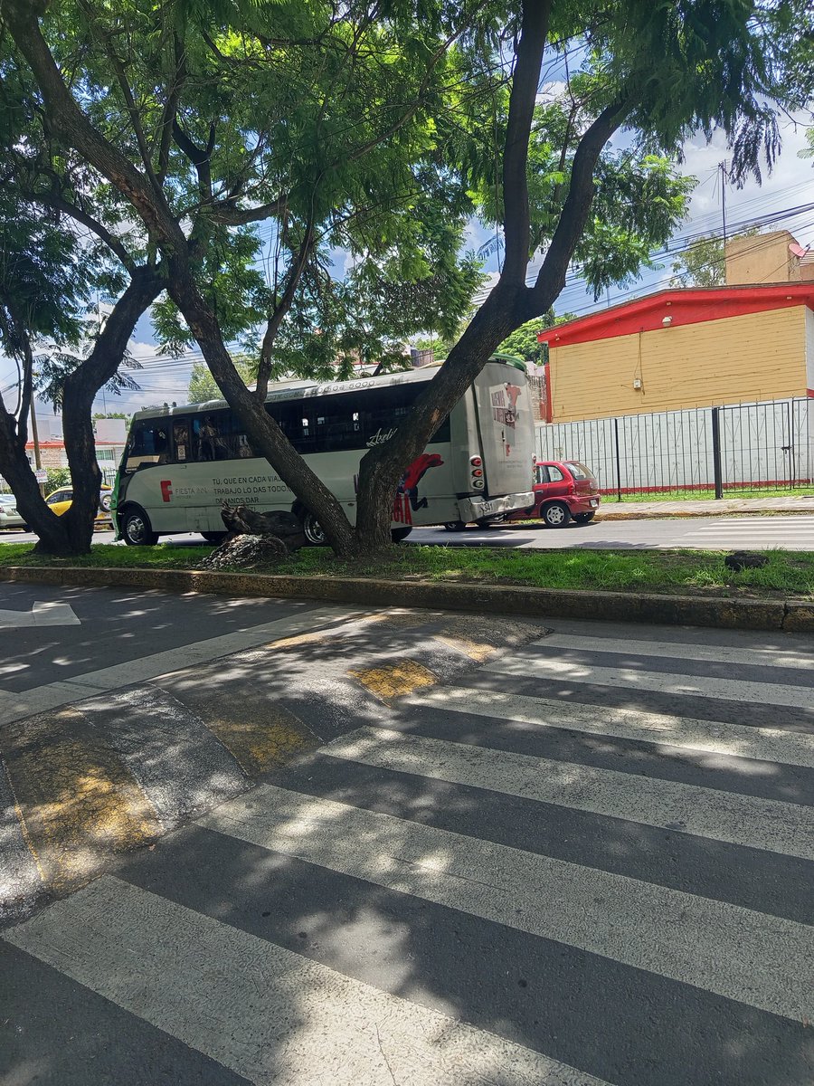 doppelganger_mx's tweet photo. Hasta cuándo van a permitir que los buses pasen por Rancho Vista hermosa cuando NO es su ruta? @VigimoviCDMX no era uno, eran tres en fila y si, solo uno tenía rotulado el número de unidad https://t.co/Vazm3URSBC