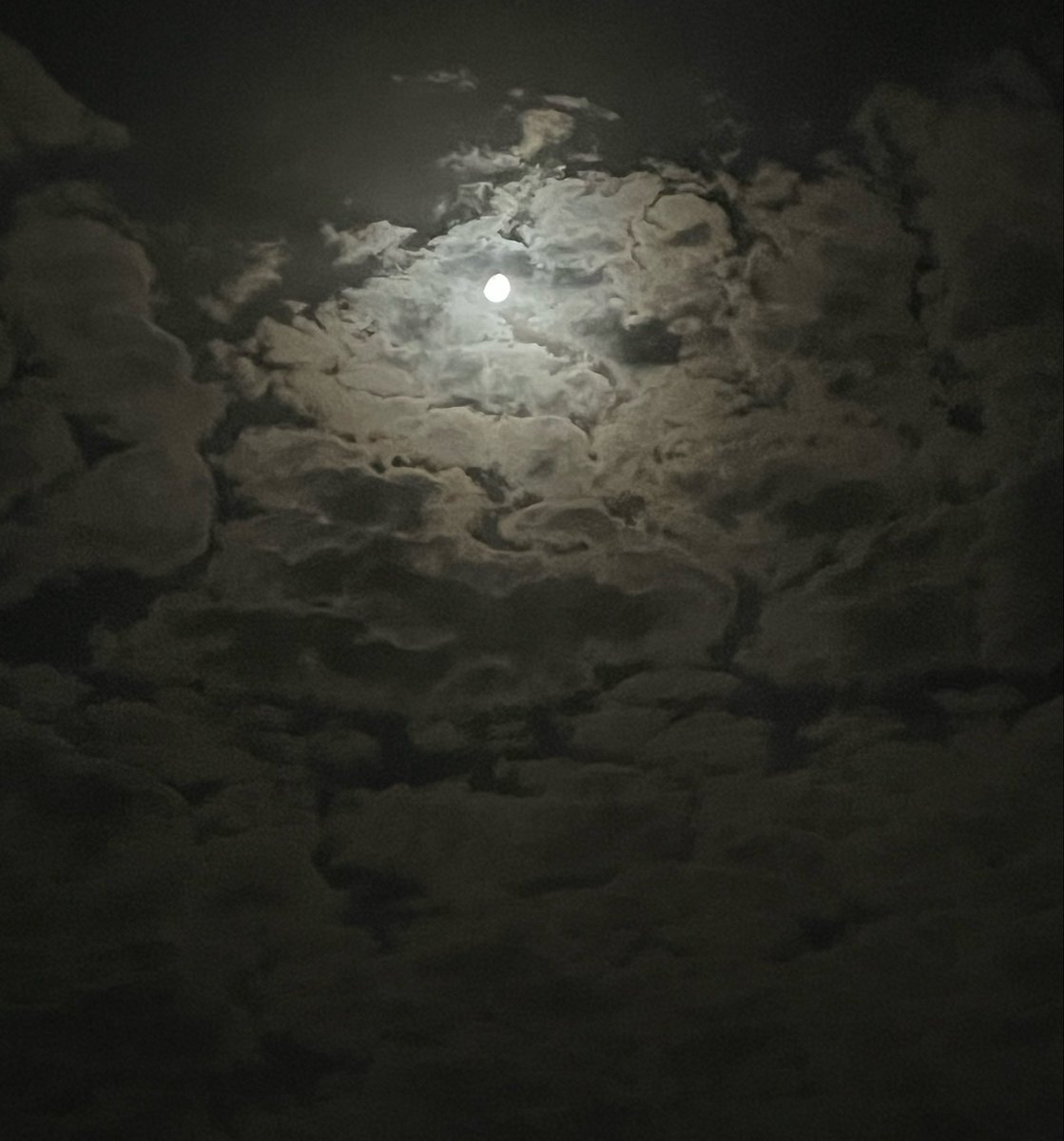 Firstnu2t's tweet photo. Moon&amp;Desert https://t.co/ihG1R7GxhY
