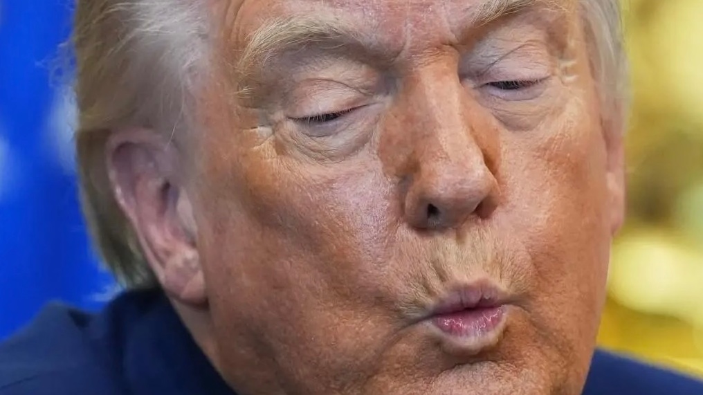 anyonewantchips's tweet photo. So with an assist from SCOTUS, he’s ending Temporary Protected Status for Haitians &amp; Syrians - while facilitating full refugee status for white South Africans. Does he think we wouldn’t notice. https://t.co/H3B4PbnbLt