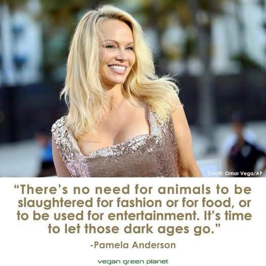 LionNSun022826's tweet photo. #AnimalRights #Vegan #GoVegan #NoToMeat #NoToDairy #BanFur #SavePigs #SaveCows #BanHorseMeat #BanBullFights #FriendsNotFood #BanTrophyHunting #BeKindToAnimals #AdoptDontShop #AnimalAbuse #AnimalCruelty #stopanimalcruelty #StopAnimalTests #endanimalagriculture #NoToDogAndCatMeat https://t.co/wTYxWo0Hc0
