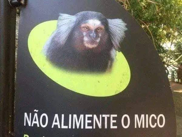 rayssaevieira's tweet photo. agr uma verdade: a azula teria vergonha da azula do live action https://t.co/C1O5qh7CN6