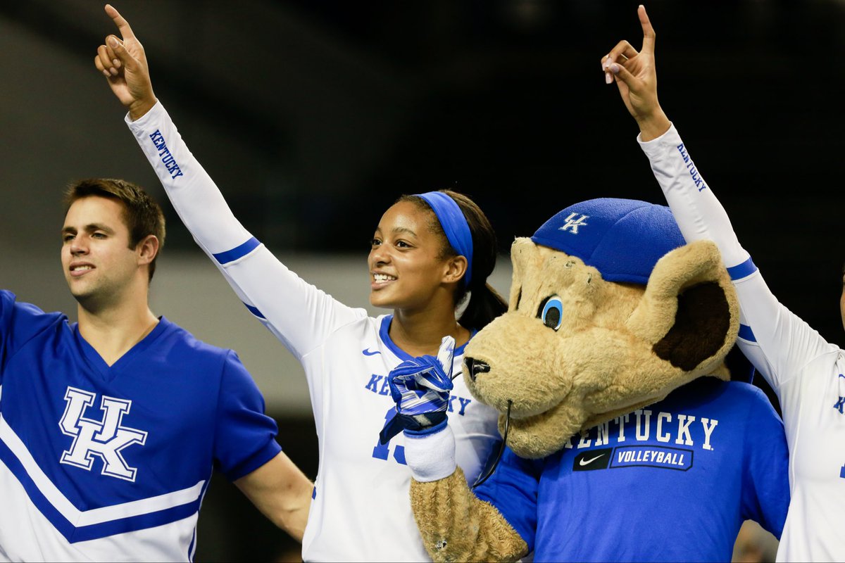 Kentucky Volleyball tweet media