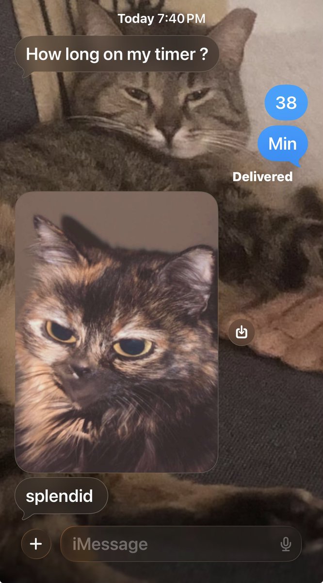 BMyrtle69's tweet photo. (How me and my brother communicate😩😹) https://t.co/InZIhhV1w0