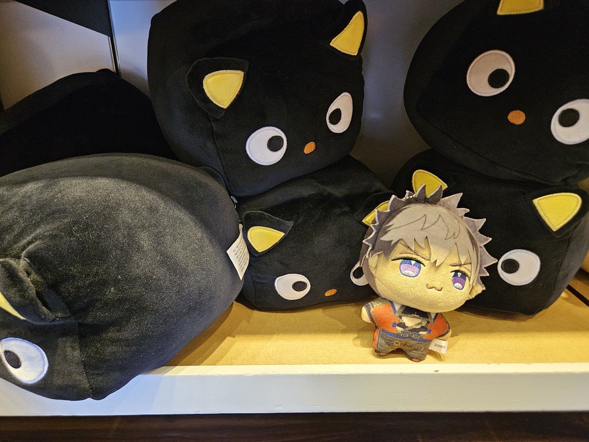 YeahSureWynaut's tweet photo. Just some pics I saw of Chococat.  Forgot the hashtag so I'll just use #Merchzader https://t.co/qQjSq9G4ZW