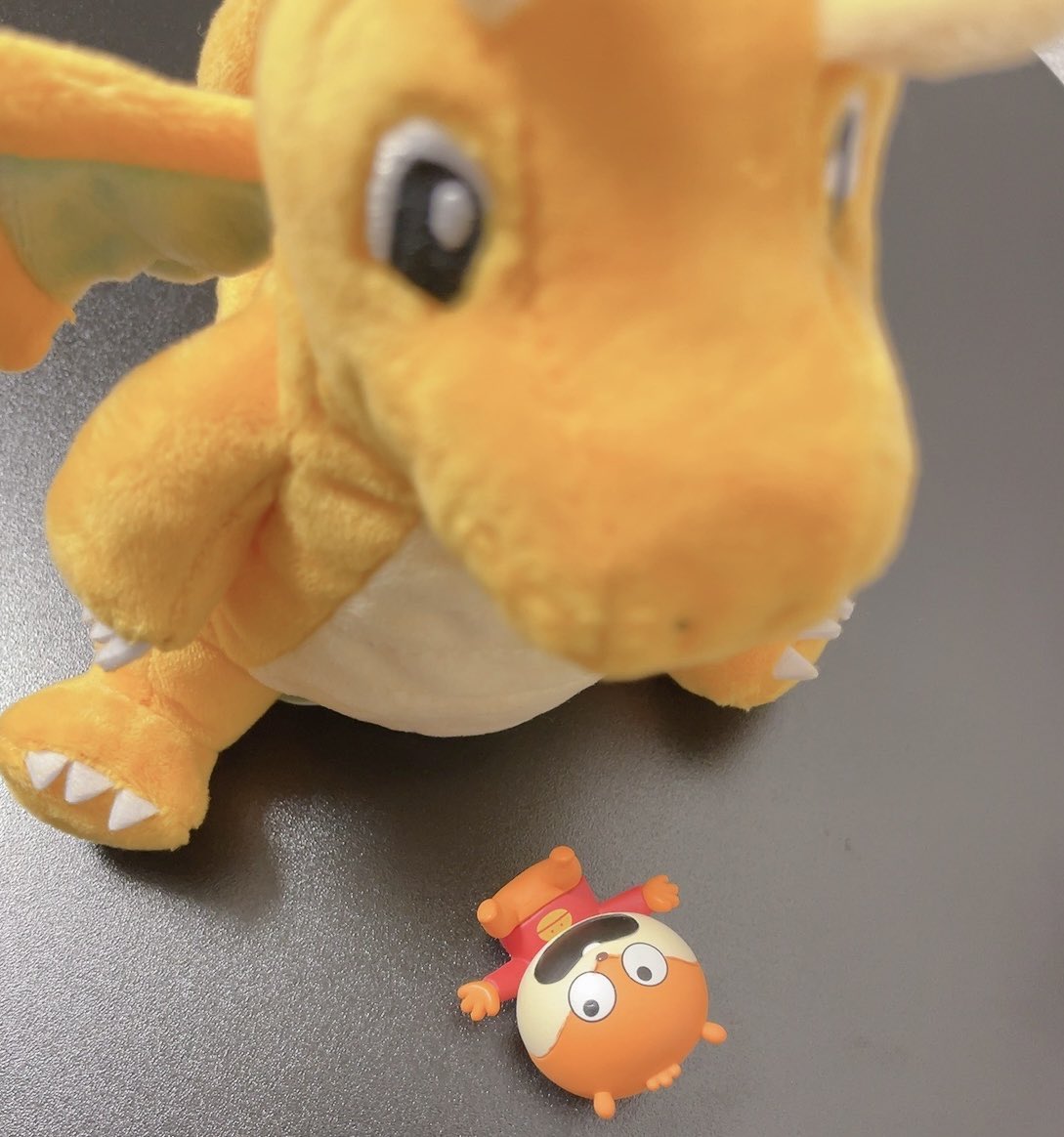 i_shi_da_a's tweet photo. うちのこねずみは可能性しかない https://t.co/b5fO70uWhO