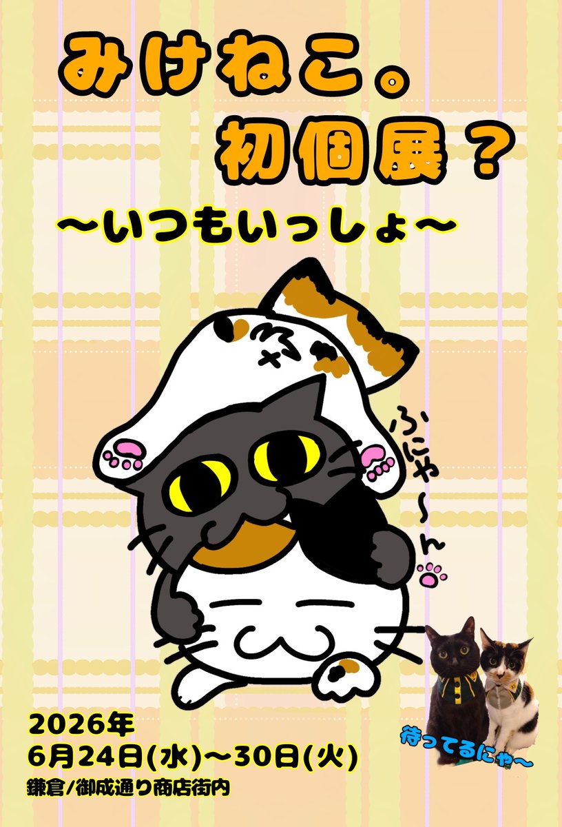 みけねこ