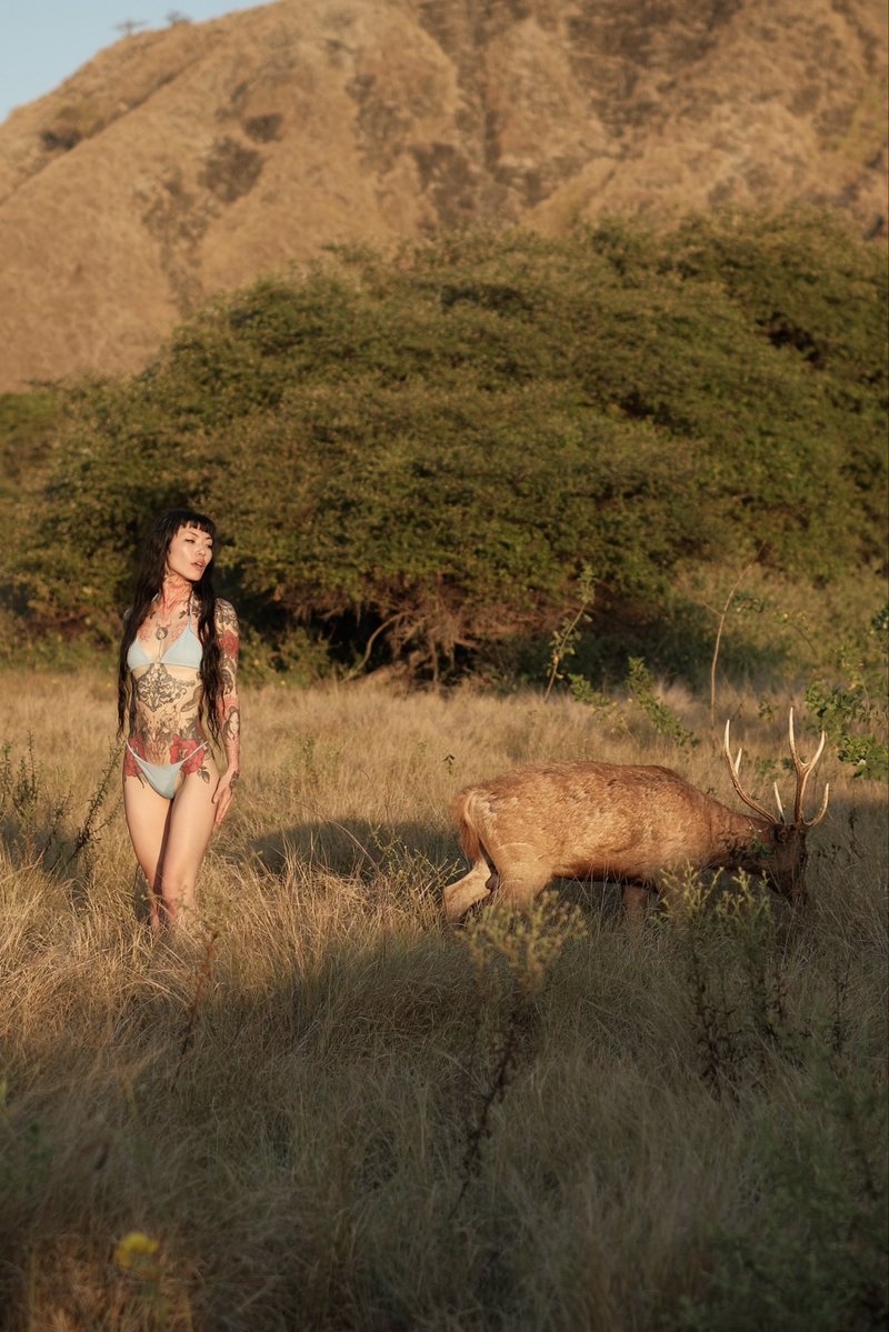 lunachrissy's tweet photo. I felt like Princess Mononoke when a wild deer came up to me and we had a photoshoot together https://t.co/0PRm0WOPRu