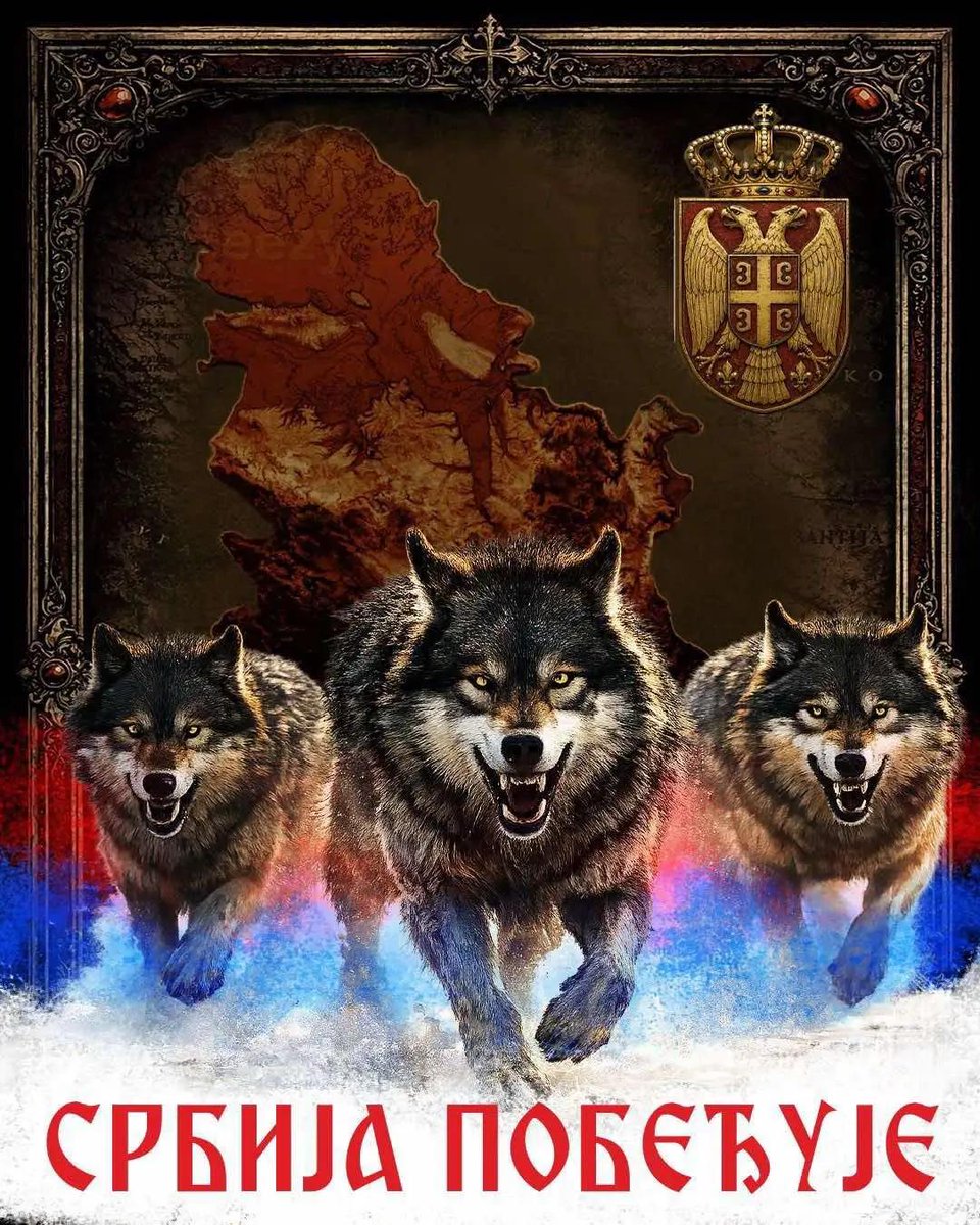 Kruna_Mit's tweet photo. Obožavam ove 🐺 jer pokazuju zaista koliko je Srbija jaka  i da Srbija pobeđuje !!! https://t.co/kyScpnVJVs