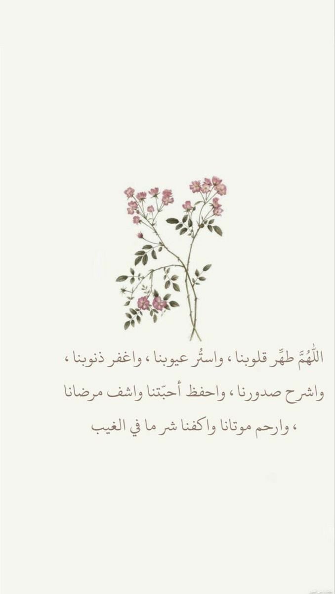 Hya20181's tweet photo. 🤍✨ .. https://t.co/wyBwJOjwf1