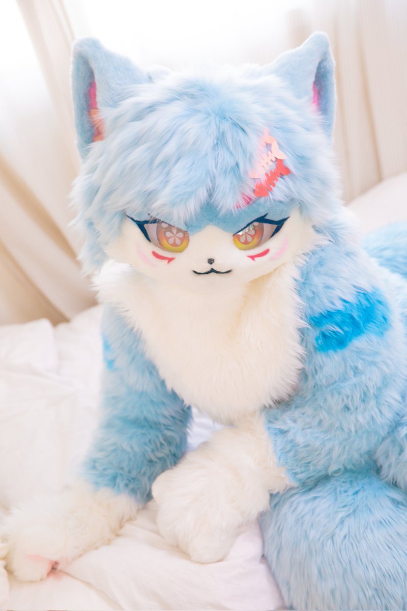 canon947809's tweet photo. #FursuitFriday 

침대가 푹신한데 같이 누울래?

📷:@Keitsu_Fur 🌟 https://t.co/4HVOZ3l7jo